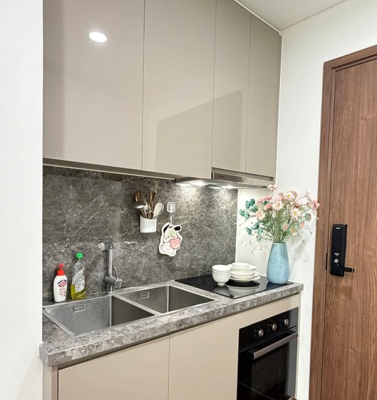 Kitchen Area — Studio Apartment