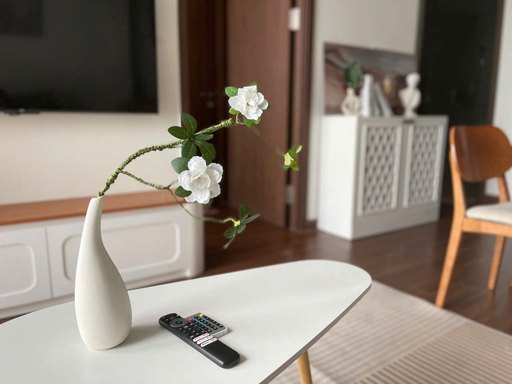 Living Room & Smart TV — Two Bedroom Apartment